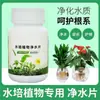 Pastillas potabilizadoras para plantas hidropónicas para desodorización, esterilización y desinfección, específicamente para bambú de la suerte, nenúfares de cuenco y conservación de flores frescas