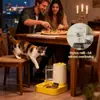 Comedero Automático para Mascotas - Bebedero para Mascotas | Bol de Comida 2 en 1 de Gran Capacidad | Comederos para Gatos para Cachorro Gatito Animal Pequeño Interior Exterior Hogar Apartamento Balcón Dormitorio Sala de Estar