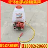 Pulverizador Motorizado de Mochila Pulverizador de Mochila Pequeño a Gasolina Precio