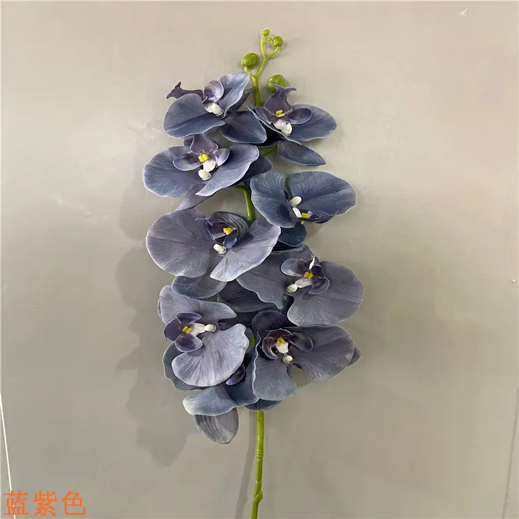 微信图片_202010271655282.jpg