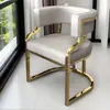 Silla de Comedor, Silla Sofá de Lujo Ligero de Gama Alta, Mesa y Sillas para Recepción y Negociación, Silla de Moda para Salón de Uñas, Silla para Tocador de Casa