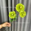 Flores de peonía de carpa artificial de 3 cabezas para decoración de bodas y hoteles, decoración del hogar, flores artificiales para arreglos de pasillo y arreglos florales