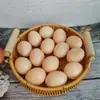 Cesta de Almacenamiento Doble Asa de Mimbre Sintético Organizador de Escritorio Tejido para Artículos Varios, Snacks, Fruta, Té de la Tarde y Almacenamiento de Bandeja de Frutas
