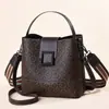 Bolso Bandolera de Cubo de Nicho Retro de Estilo Coreano para Primavera y Verano, Combinable para Viaje, con Correa Ancha para el Hombro, Nuevo para Mujer 2024 de Alta Gama