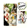 Bolsa para Mascotas, Mochila Portátil para Salidas, Portador de Pecho para Perros y Gatos, Mochila de Cuatro Patas, Suministros para Mascotas