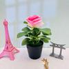 Concubina imperial caliente transfronteriza rosa negro cuenca internacional bonsái sala de estar comedor decoración adornos de plantas pequeñas en maceta simulación
