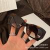Lujosas Gafas de Sol Retro de Diseño Gafas de Sol de Moda con Estampado Ancho de Leopardo Gafas de Moda Europeas Americanas para Mujer Modernas 5493