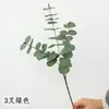 Folhagem Artificial Transfronteiriça Ramo Único Múltiplos Ramos Folha de Dinheiro Ramo Pequeno Eucalipto Arranjo de Flores para Casa Casamento Folhas Estilo Floresta para Exterior