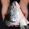 Cabeça de Salmão Norueguês, Salmão Sem Gelo, Cabeça de Peixe Cortada em V, Frutos do Mar Atacado Comercial, Cabeça de Salmão, Dropshipping