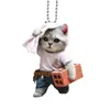 Pingente Decorativo Criativo Novo para Retrovisor, Ornamento para Pendurar no Carro Gatinho Empurrando Tijolos, Decoração Plana de Acrílico para Interior do Carro