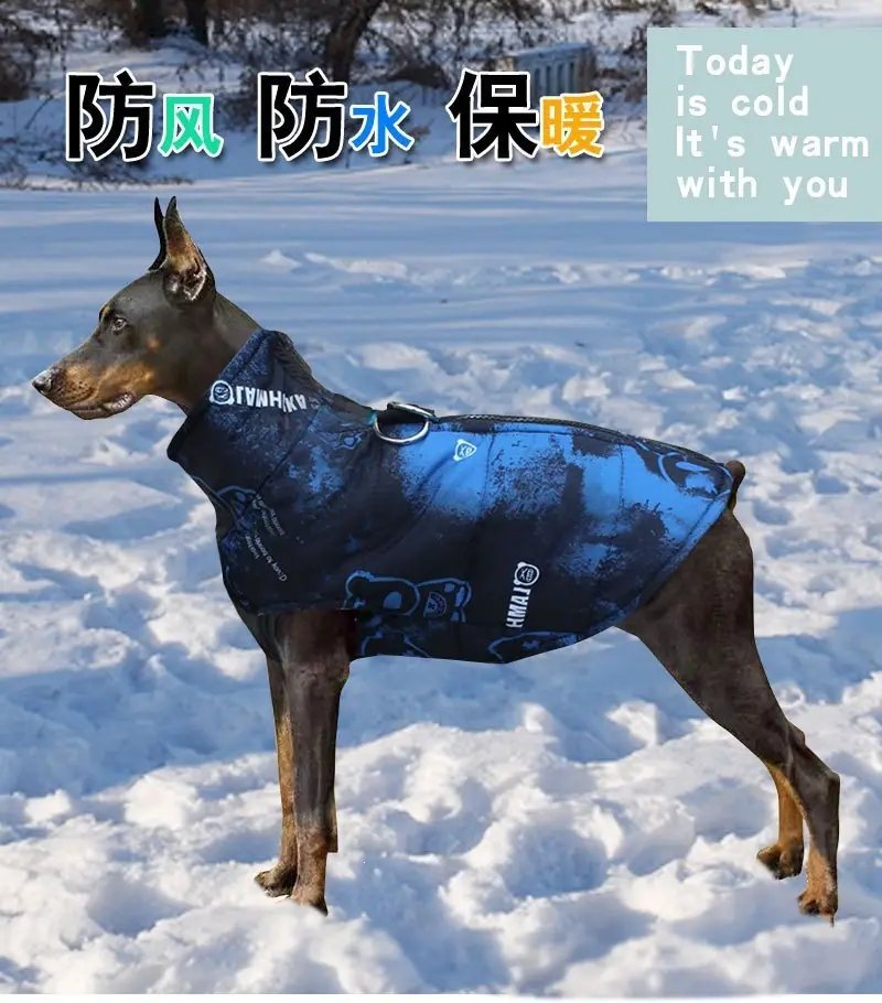 gWmWivOiz9St5JawZAYwYGr55OIJM4NCvmTy