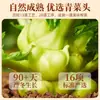 [Oferta Especial] Wujiang Fuling Mostaza Encurtida 30g Paquetes Pequeños, Tiras de Mostaza Ligeramente Picantes y con Sabor Ligero, 16 Bolsas, Tienda Oficial Principal