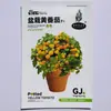 Plántulas de Tomate Cherry Cuatro Estaciones Tomates Grandes Tomates Pequeños Verduras en Maceta Semillas de Tomate Cherry Multitemporada Venta Caliente