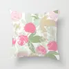 Suministro directo de fábrica flores y plantas naturales frescas funda de almohada decorativa funda para respaldo de asiento de coche respaldo de estudio cojín de respaldo una variedad opcional