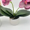 Bonsái Phalaenopsis de Doble Lóbulo Flor 9 Rosquilla Decoración Fotografía de Boda Maceta Arreglo de Patio Exterior Maceta de Flores Artificiales
