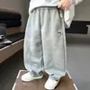 Ropa para niños de comercio exterior para niños 2026 otoño nuevo pantalones deportivos de cachorro estilo coreano modernos geniales pantalones casuales de calle para niños pequeños y medianos