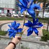 Viento de océano azul flores de simulación para boda al por mayor azul oscuro azul zafiro azul bruma blanco boda camino guía techo flores falsas