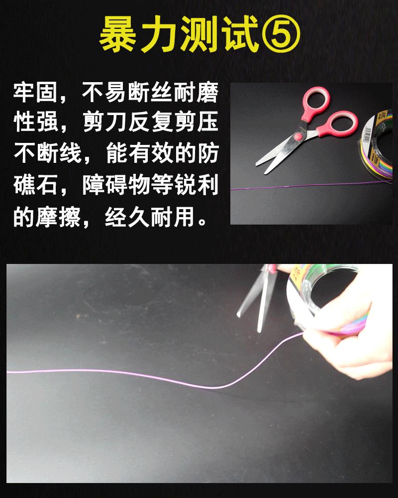 动图5