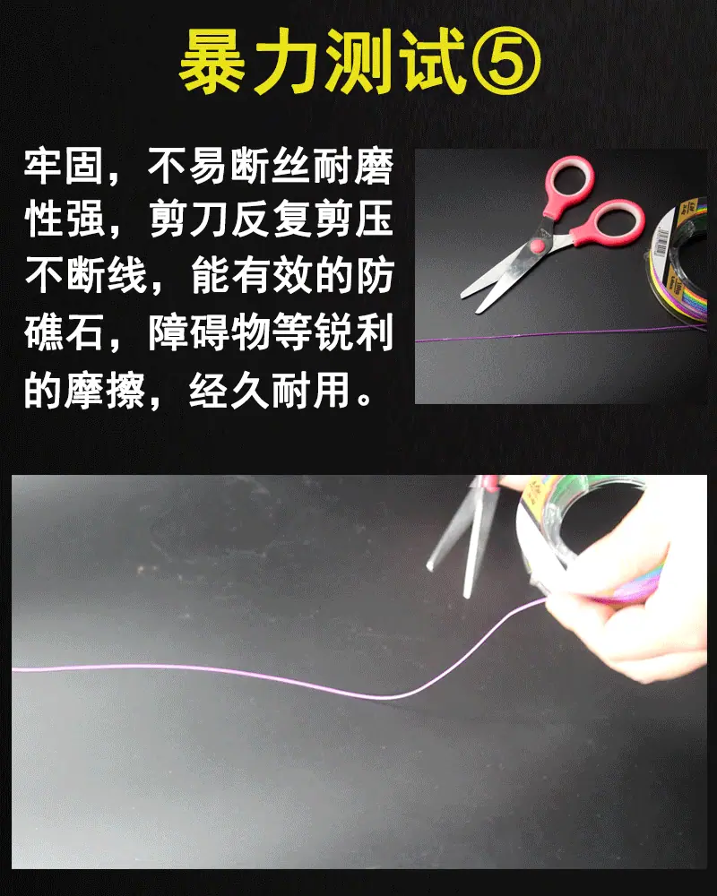动图5