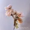 Decoración de fondo de boda de flor de loto, grulla y peonía de simulación de 6 cabezas, pared de flores de peonía, ventana, decoración del hogar