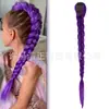 Peluca de Cosplay para Grupo de Chicas Kpop Hunter Estilo Infantil Rumi Trenzas Púrpuras Trenzas Retorcidas Coleta con Pinza Accesorios para el Cabello