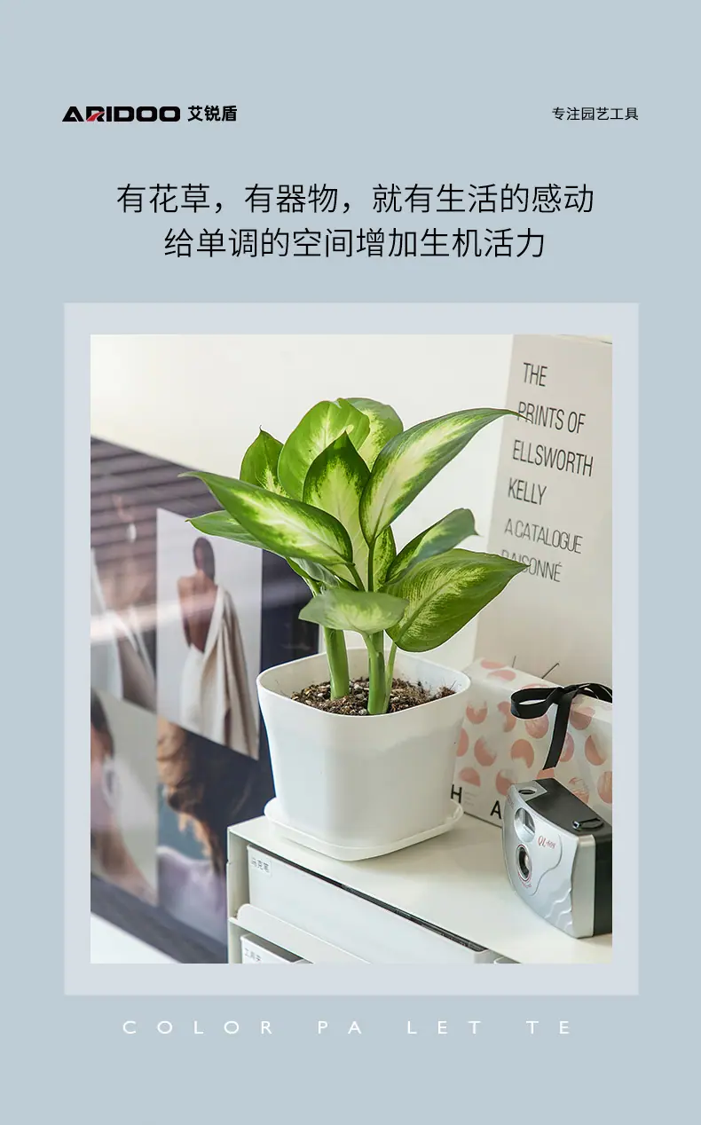 7-1花盆-方形小盆-韦尼恩详情_02.jpg