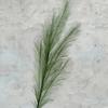 Popular Hierba de Pavo Real de 7 Ramas Fuegos Artificiales Decoración Flores de Hierba de Caña Coloridas Pluma Rosa Blanco Fuegos Artificiales Diurnos Nochevieja