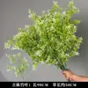 Plantas Verdes, Hierba de Junco, Hierba Bigote de Dragón, Fondo de Boda, Paisajismo de Ventana Floral, Flores Decorativas para Boda en Bosque Blanco y Verde