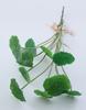 Folha de lótus mini simulada alça feixe sensação planta simulada capim-dinheiro flor artificial folha capim-dinheiro