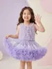 Vestido Tutu de Verão para Meninas Estilo Europeu e Americano Festa de Aniversário Vestido de Tule Bufante Vestido Princesa para Bolo Infantil Atacado