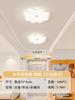 Suministro Transfronterizo Directo de Fábrica en Zhongshan de Luces de Pasillo Estilo Crema, Luces de Techo Florales para Vestíbulo 110-240V