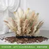 Flores Artificiais e Plantas em Cores de Outono Hy-Be10/Hy-Bg10/Hy-Bc90 para Paisagismo, Plantas Verdes e Arte Floral Bio-Inspirada