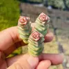 Base de planta suculenta autoproducida y autovendida al por mayor suculentas pequeñas combinación de flores plantas en maceta plantas carnosas Lithops Haworthia
