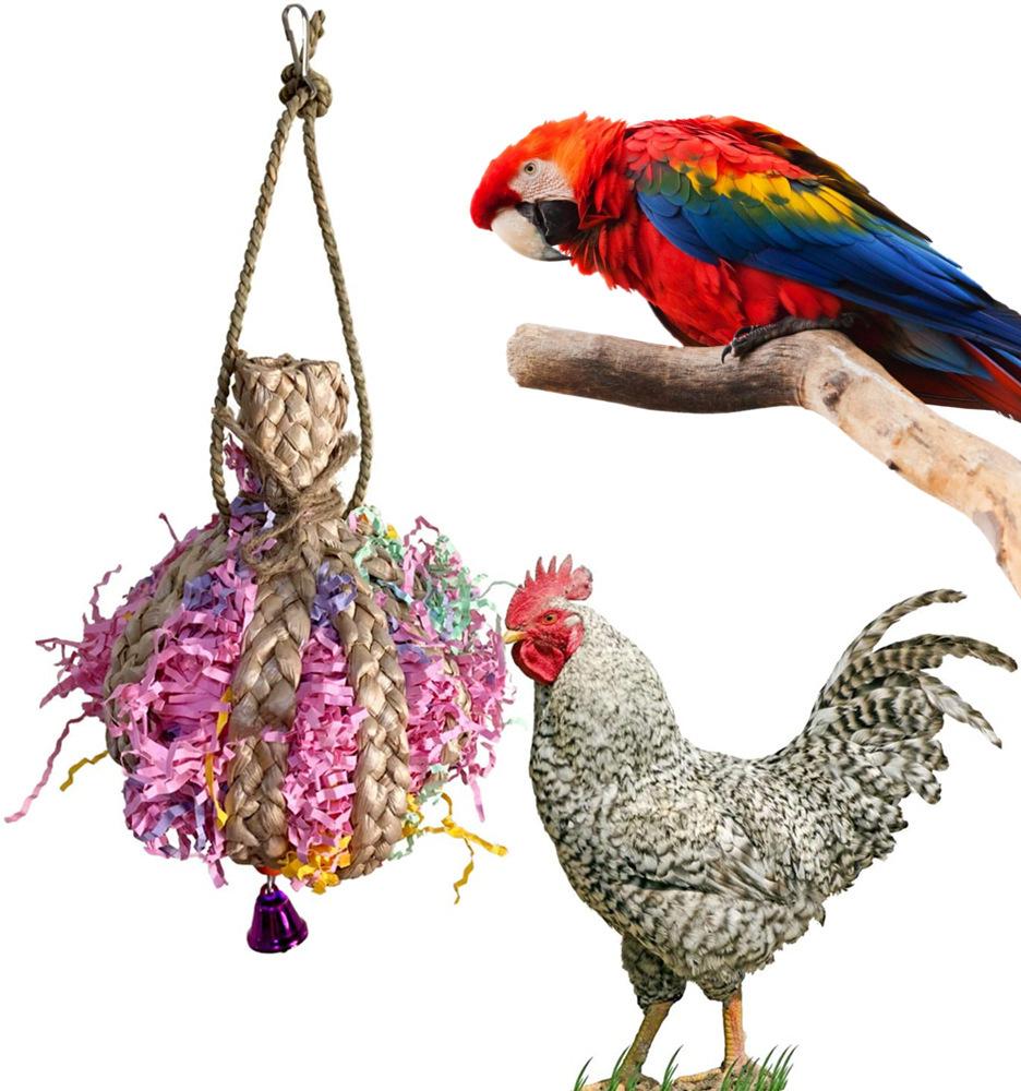 22463482649_1955419017