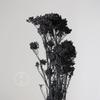 Flores de Mijo Conservadas Blancas, Flores de Mijo Secas, Venta al por Mayor desde Fabricante, Materiales para Uñas Hechas a Mano DIY