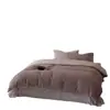 Nuevo Juego Cálido de Invierno de Terciopelo de Leche de Cuatro Piezas Funda Nórdica de Terciopelo Doble Cara de Color Contrastante con Parche Doble Sábana Bajera Juego de Cama de Tres Piezas