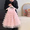 2026 Nuevo Vestido de Princesa de Moda para Niñas de Verano, Vestido de Pastel con Capas Abullonadas de Encaje sin Mangas para Bebé Niña