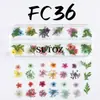Manicura Estilo Caliente Transfronterizo Flores Secas Caja de 12 Compartimentos Verano Pequeñas Flores Frescas Pétalos Joyería de Flor Seca Estereoscópica para Uñas