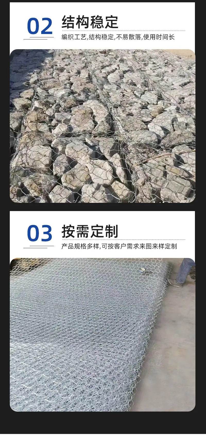 雷诺_11.jpg