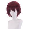 Principais fabricantes de chapéus de cabelo curto europeus e americanos em estoque, peruca de animação cosplay Shengda, cor universal Harajuku anti-deformada