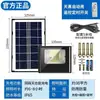 Focos solares transfronterizos, modelos asequibles para patios exteriores, villas rurales, proyectos de jardinería, luces LED