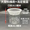 Vaso Hidropônico Transparente de Plástico Cilíndrico com Cesta de Plantio Pode Cultivar Frutas, Vegetais, Feijões, Sementes, Flores e Plantas Verdes