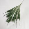 Efecto de tinte en flor de plástico no regresa, no cambia color verde de boda planta verde fresca pequeña material de hoja hierba creciente niebla