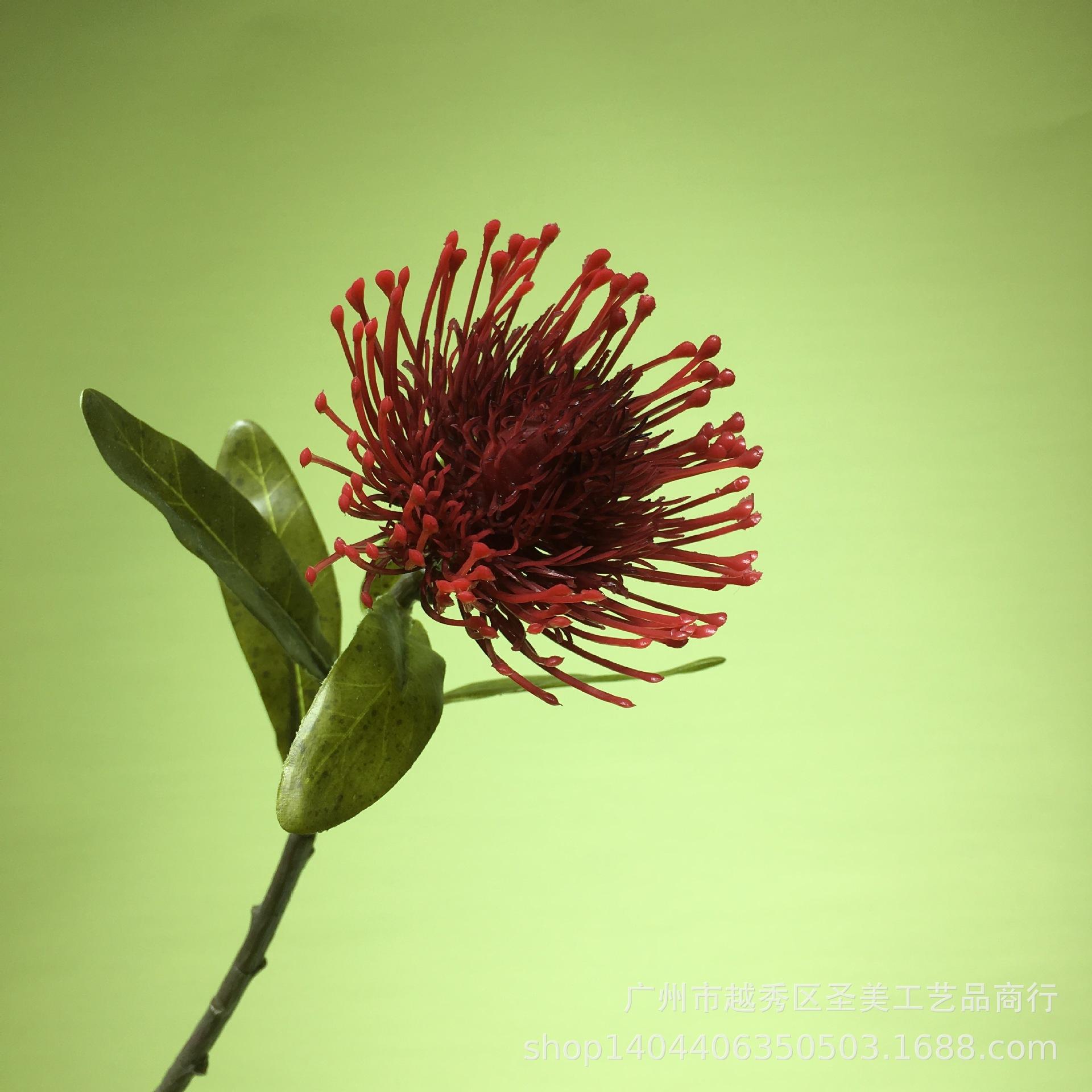 70EA19814E0C801866BEBBF855AC52