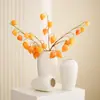 Jarrón de Cerámica Blanca, Estilo Minimalista Moderno, Versátil para Sala de Estar y Mesa de Comedor, Adecuado para Arreglos Florales, Plantas Hidropónicas y Decoraciones de Escritorio