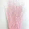 Flores Preservadas, Hierba Rosa, Flores Secas, Hierba Mosquitera, Cola de Zorro, Materiales Florales DIY, Arreglos de Boda, Decoración del Hogar, Venta al por Mayor de Fábrica