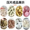 Prensa Rotativa de Comprimidos de 15 Punções Máquina de Comprimidos de Leite Tableteadora de Açúcar Conjunto Completo de Linha de Produção de Comprimidos de Medicina Chinesa Personalização