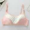 Ropa interior para niñas en período de desarrollo, Camisetas pequeñas para niñas mayores, Sujetadores de algodón para estudiantes de primaria y secundaria de 10 a 13 años, Sujetadores transfronterizos para niñas jóvenes