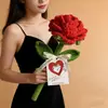 Presente chinês para o Dia dos Namorados: Flor Gigante de Rosa Tricotada, Cartão de Confissão para Casais do Dia dos Namorados 520, Segurando uma Flor de Rosa