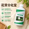 Diferenciación de Yemas Florales Árbol Frutal Tesoro Fertilizante Foliar Floración Inducción de Yemas Florales Promoción Floral Aumento de Rendimiento División Celular Hormona de Diferenciación de Yemas Florales Hormona de Protección Floral y Frutal